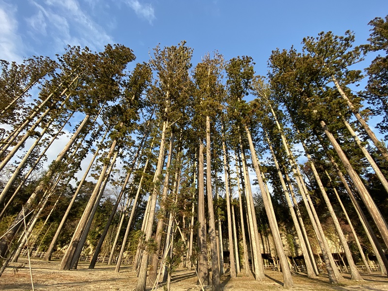 瑞巌寺の風景写真