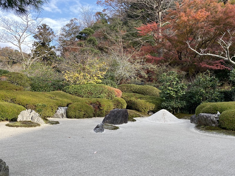 明月院の丸窓から見た風景