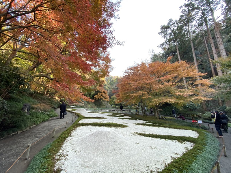 明月院本堂裏庭園の風景写真