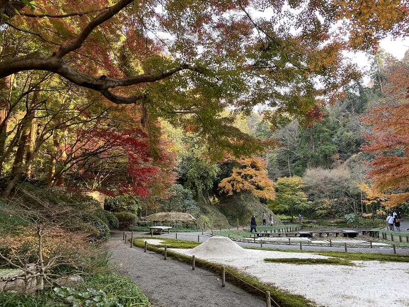 明月院本堂裏庭園の風景写真