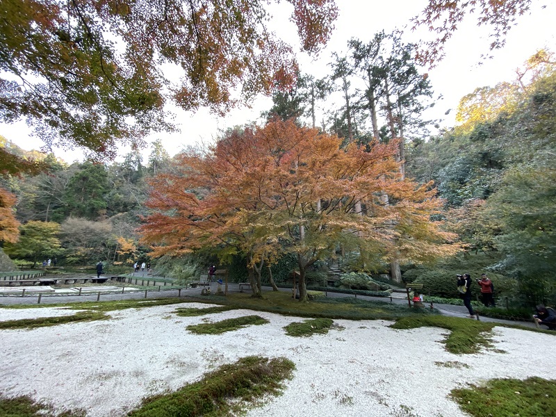 明月院本堂裏庭園の風景写真