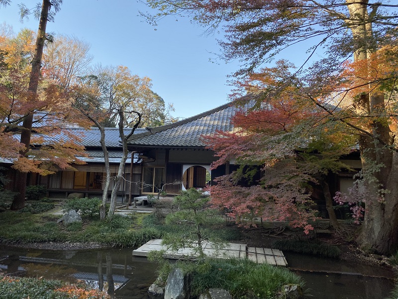 明月院本堂裏庭園の風景写真