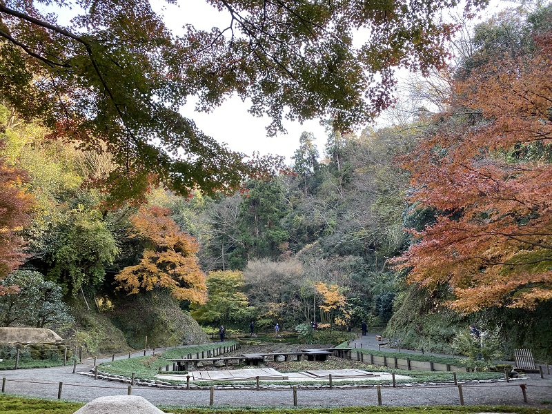 明月院本堂裏庭園の風景写真