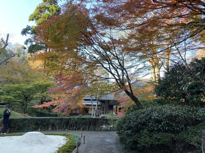 明月院本堂裏庭園の風景写真