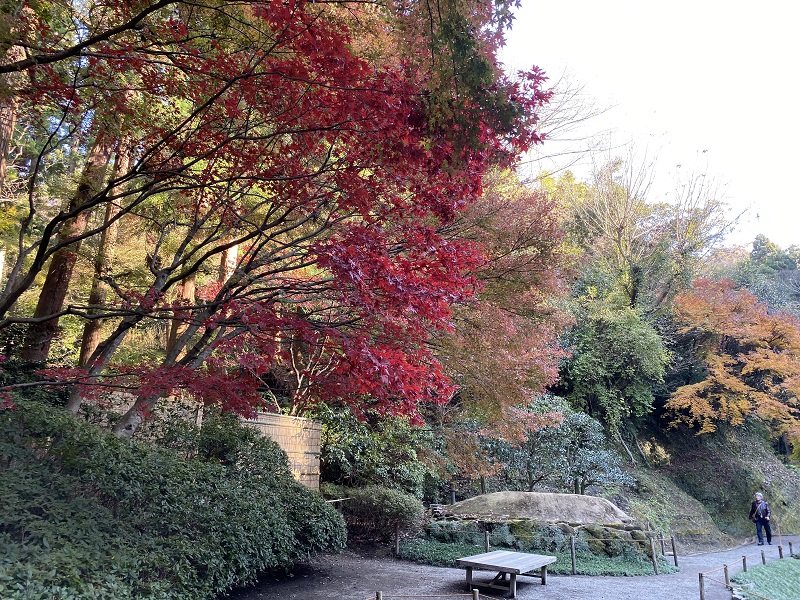 明月院本堂裏庭園の風景写真