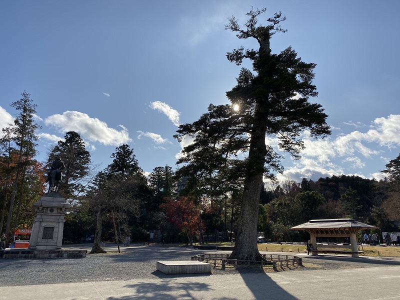 仙台城址公園の景色をiPhone 11 Proで撮影した写真