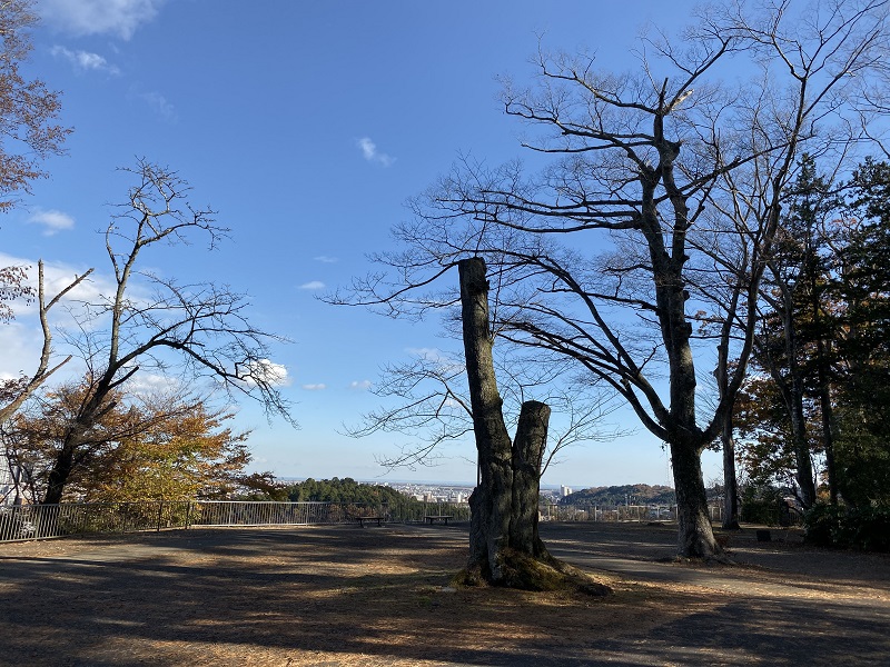 仙台城址公園の景色をiPhone 11 Proで撮影した写真