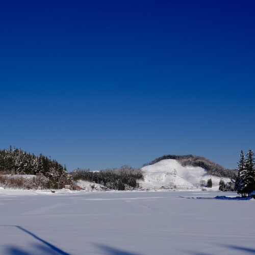 x-t4で撮影の雪景色の風景写真