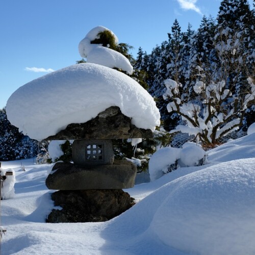 庭の灯篭　冬の写真