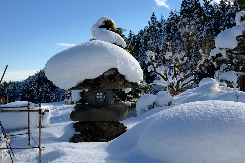 庭の灯篭　冬の写真