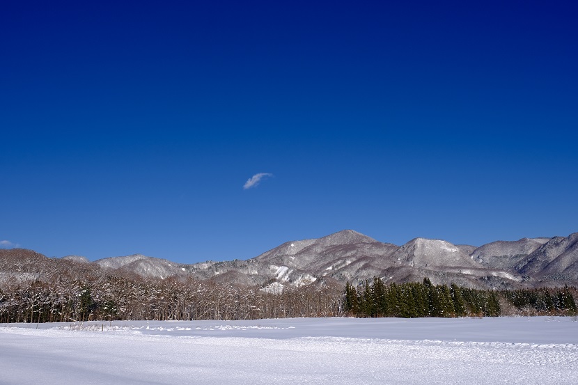 x-t4で撮影の2021年の雪の風景写真