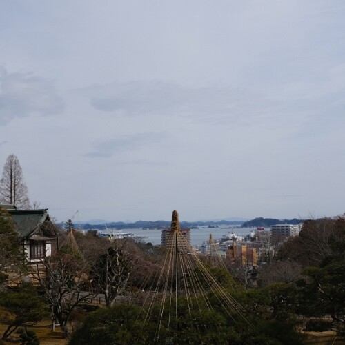 x-pro3で撮影の塩釜神社境内内の写真