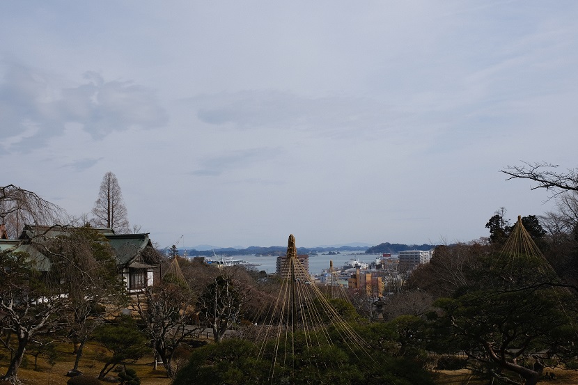 x-pro3で撮影の塩釜神社境内内の写真