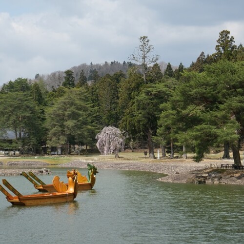 世界遺産毛越寺の春の写真