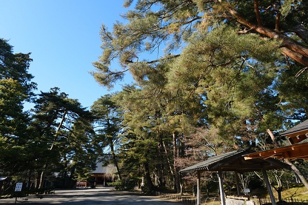 奥州平泉毛越寺の写真