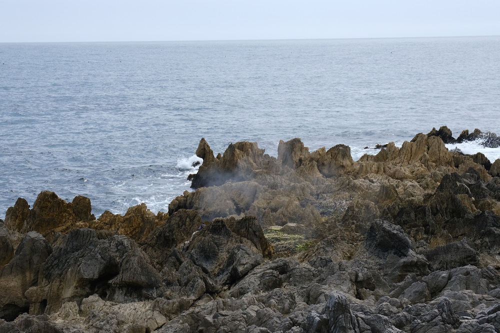 宮城県岩井埼の写真