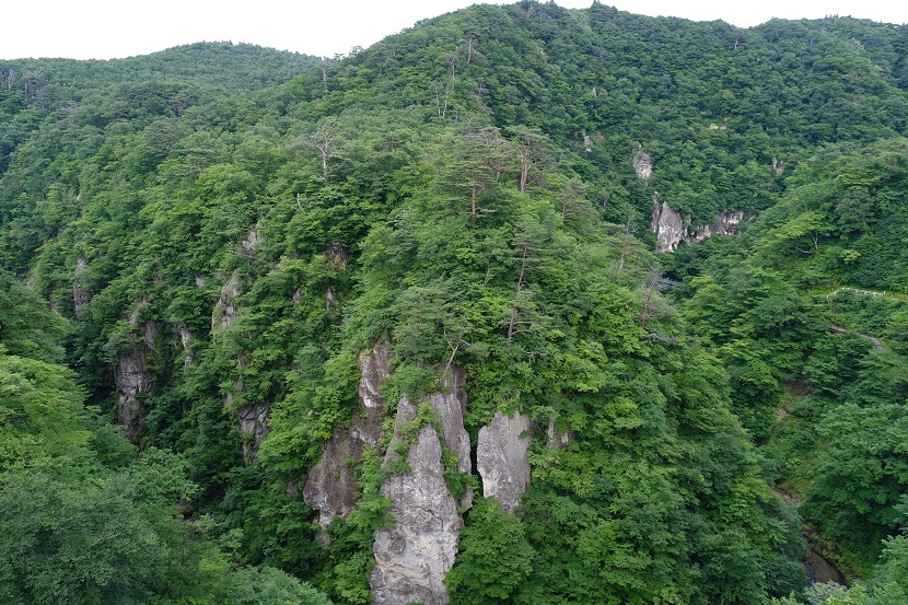 鳴子峡の7月の風景写真