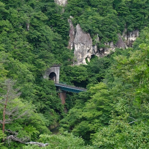 なるこの7月の風景写真