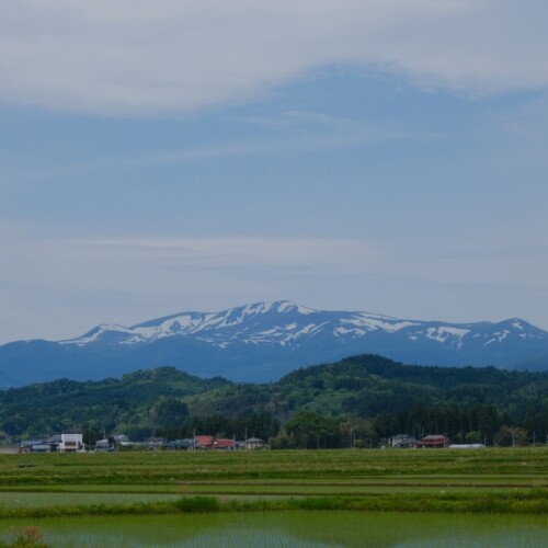 栗駒山の春の写真