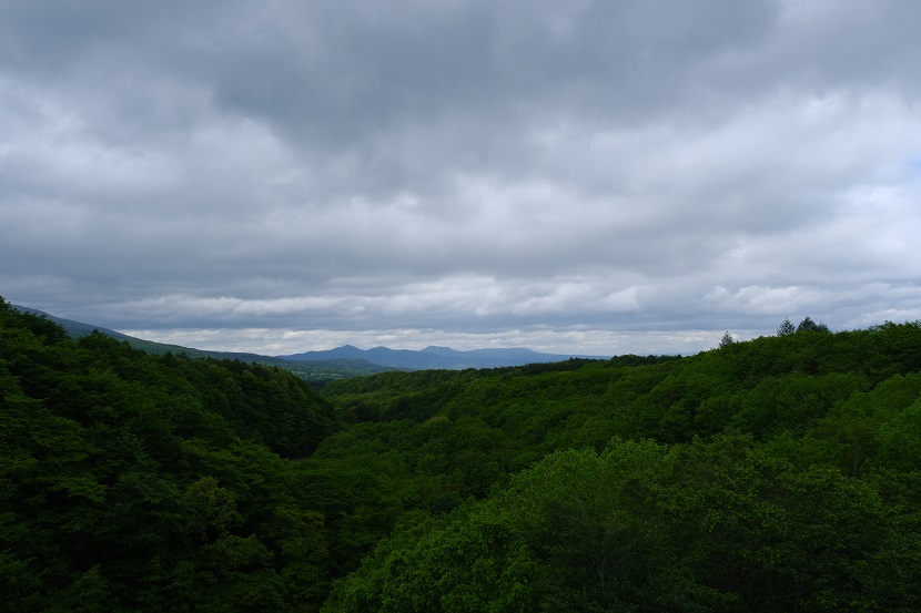 どこかの景色の写真