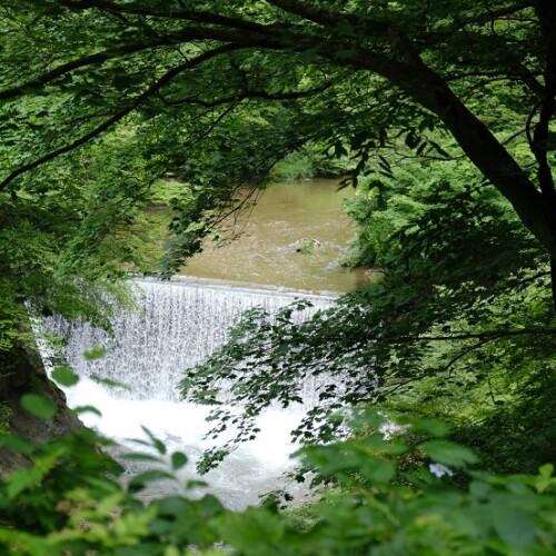 鳴子渓谷の7月の風景写真