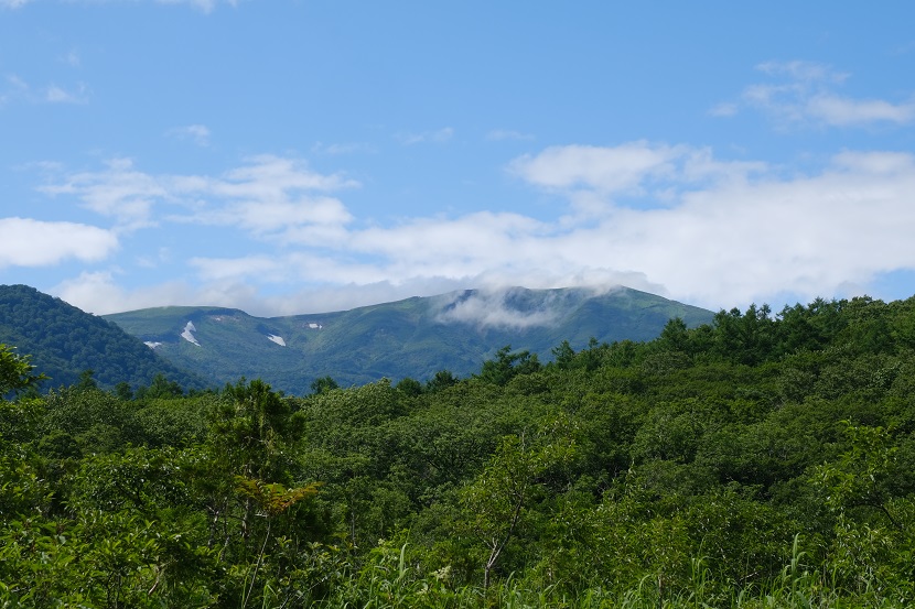 栗駒山の7月の風景写真