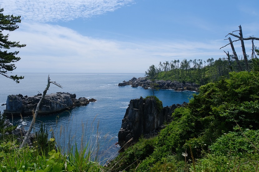 唐桑半島の夏の風景写真