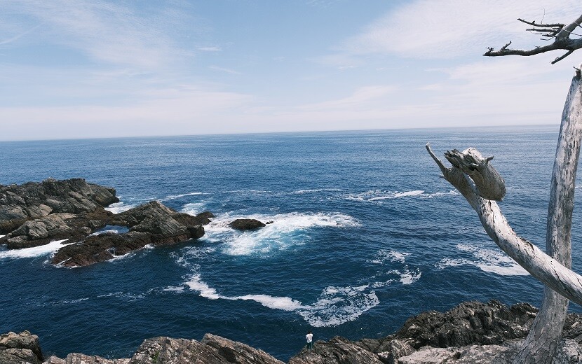 唐桑半島巨釜半造の夏の風景写真