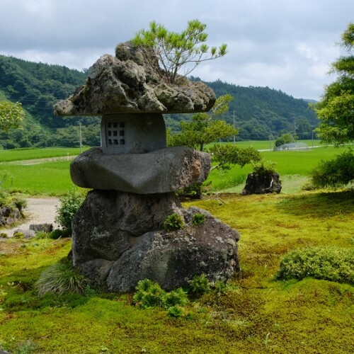 自宅庭の夏の風景写真