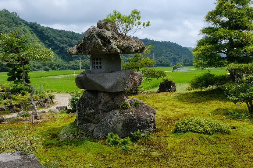 自宅庭の夏の風景写真