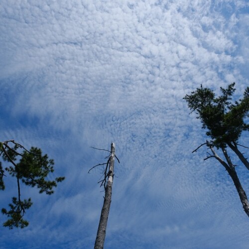 唐桑半島巨釜半造の夏の風景写真