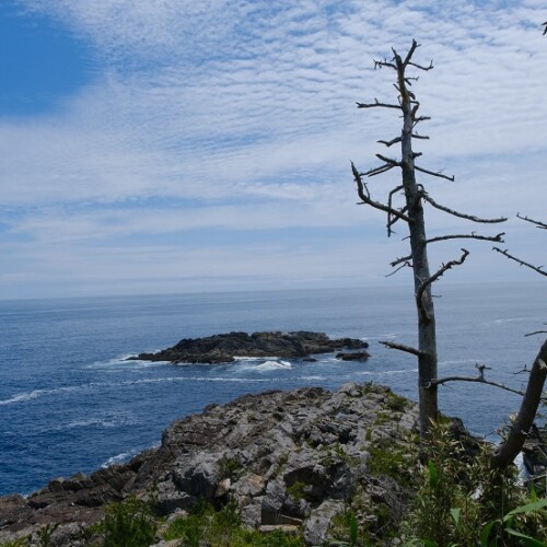 唐桑半島巨釜半造の夏の風景写真