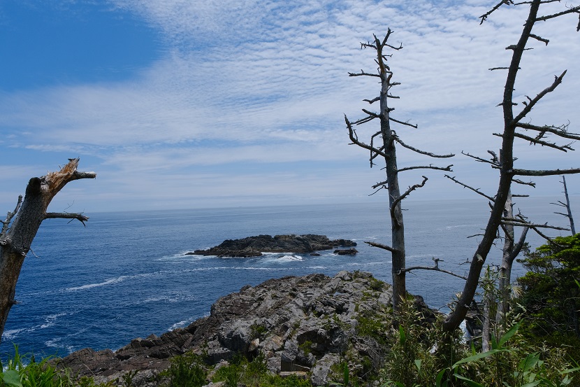 唐桑半島巨釜半造の夏の風景写真