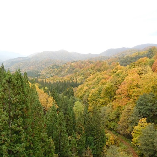 栗駒山須川側の紅葉の写真