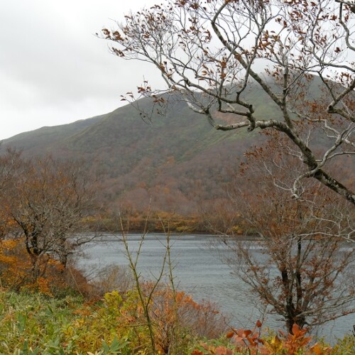 栗駒山須川湖の紅葉の写真