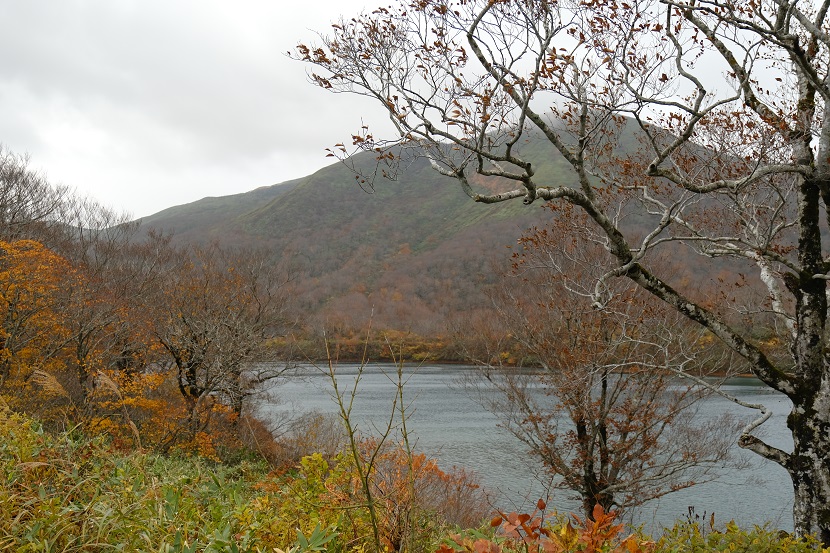 栗駒山須川湖の紅葉の写真