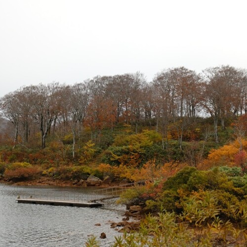 栗駒山須川湖の紅葉の写真