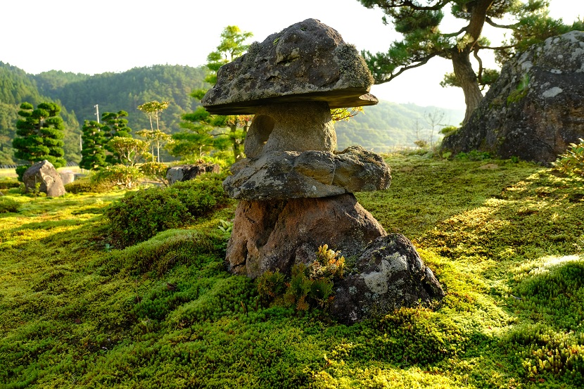 庭の九月の風景写真