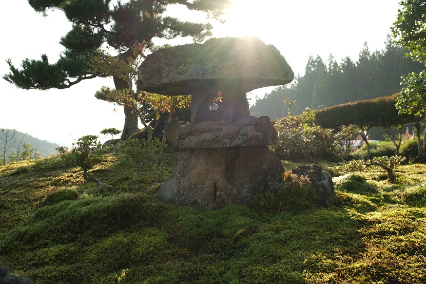 庭の九月の風景写真