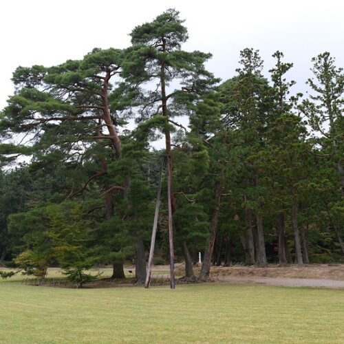 毛越寺の9月の風景写真