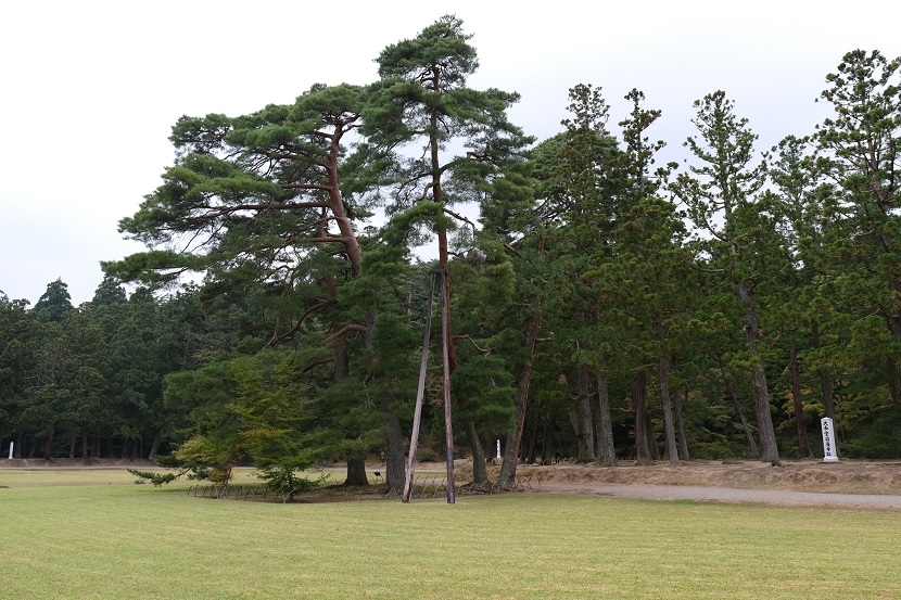 毛越寺の9月の風景写真