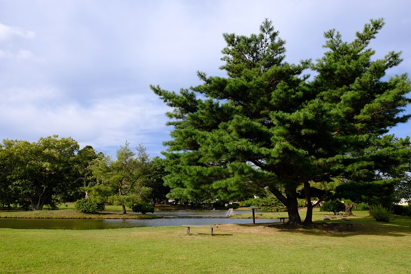 奥州平泉毛越寺脇観自在王院跡の風景写真