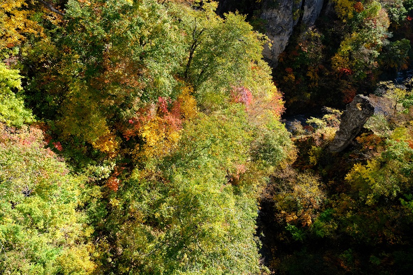 鳴子峡の紅葉の写真