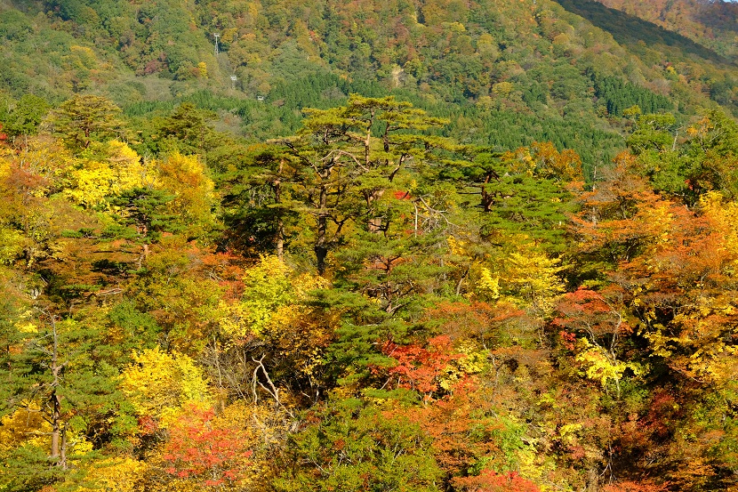 鳴子峡の紅葉の写真