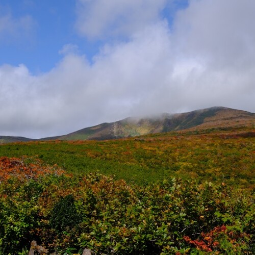 栗駒山の紅葉の写真