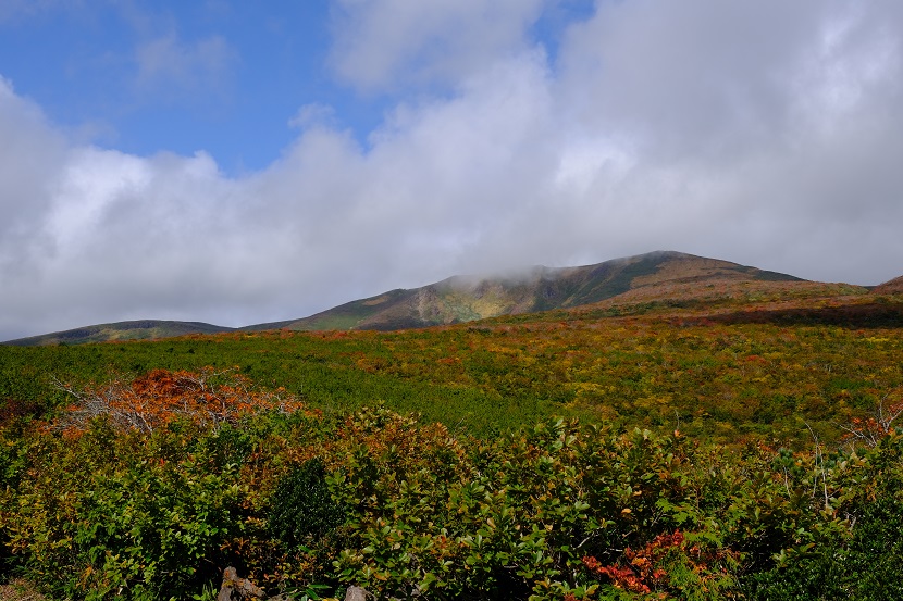 栗駒山の紅葉の写真