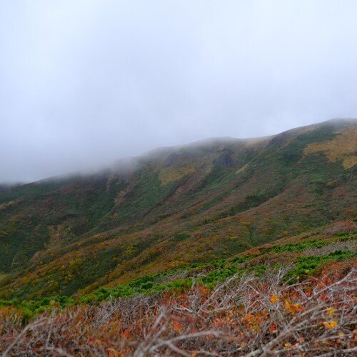 栗駒山の紅葉の写真