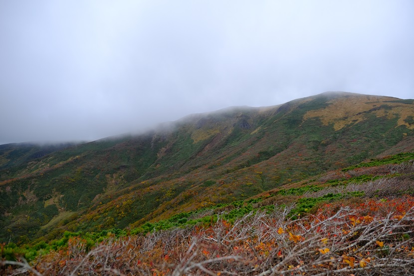 栗駒山の紅葉の写真