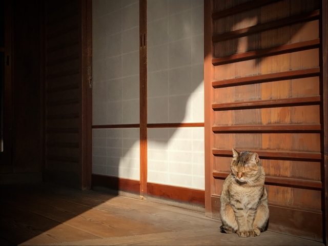 首ったけのイメージ写真