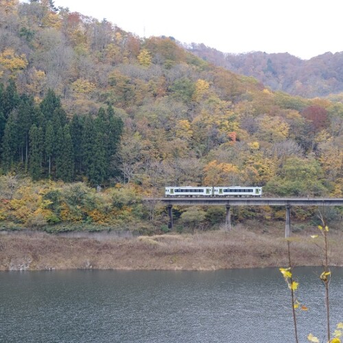 錦秋湖の秋の紅葉の写真電車